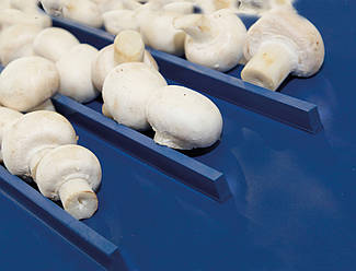 Транспортерна стрічка Habasit  для транспортування фруктів та овочів