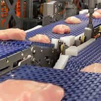 Транспортерна стрічка Habasit для транспортування м'яса, птиці, морепродуктів