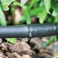 Крапельний полив