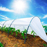 Парник “ЩЕДРИЙ ВРОЖАЙ” із затіняючої сітки 60% затінення 8м, фото 4