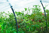 Парник “ЩЕРДРІЙ ВРОЖАЙ” із затіняючої сітки 60% затінення 6м, фото 6
