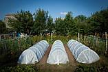 Парник 3 м, 50 г/м² Love&Home Щедрий урожай (2PR5003), фото 8