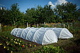 Парник “ЩЕДРИЙ ВРОЖАЙ” із затіняючої сітки 60% затінення 8м, фото 8