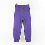 Спортивні штани тринитка дитячі violet Dexter`s, фото 4