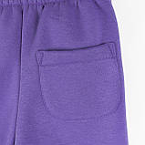 Спортивні штани тринитка дитячі violet Dexter`s, фото 5