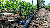 Капельный полив система “Капля” 50 м., фото 2