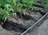 Капельный полив система “Капля” 50 м., фото 5