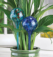 Колба для автоматичного поливання рослин Aqua Globes Hand Blown Glass