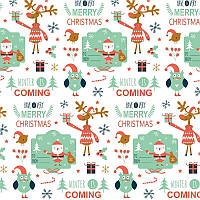 Подарунковий крейдований папір LOVE&HOME Санта» 0,7х1 м 70 г/м² (1PAPPR43)