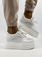 Prima D Arte. Lonza Жіночі кеди білі на платформі. Натуральна шкіра із сіткою. Розмір 38 39 40