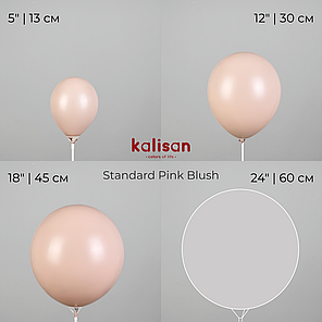 KALISAN-КЛ 5" 64 Пастель Рожевий Блаш | Standard Pink Blush, фото 4