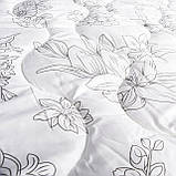 Ковдра Softdreamhome 180cm шт. 200cm цілорічна 180x200 + 2 подушки 70x80 тепла антиалергічна, фото 4