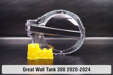 Tank 300 (2020-2025)