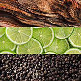 Lacoste Essential 75 мл туалетна вода для чоловіків парфуми чоловічі Edt 75мл, фото 2