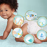 Набір з 2 шт. Pampers Premium Care 6 38 шт. 13+ кг підгузники, фото 5