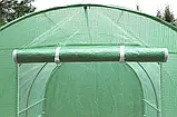 Садова теплиця, парник Focus Garden 3x6x2 м (подвійні двері) зелений, фото 5