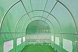 Садова теплиця, парник Focus Garden 3x6x2 м (подвійні двері) зелений, фото 6