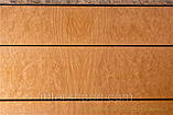 Шпон Мадроны Корінь, фото 8
