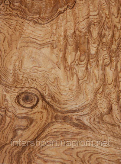 Шпон Ясень Корінь (Оливковий), фото 1