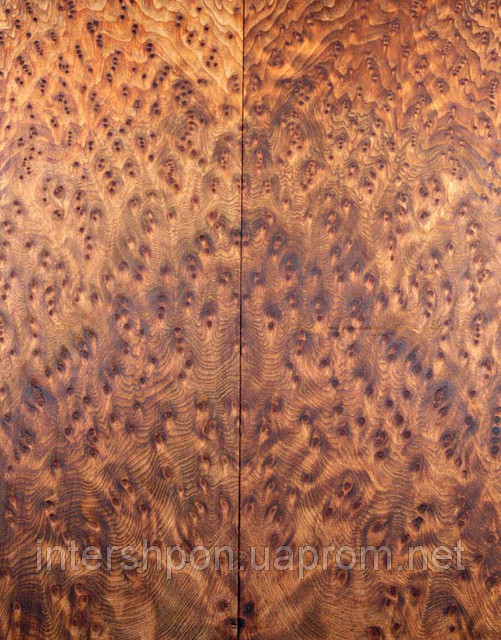 Шпон Вавона Корінь, фото 1