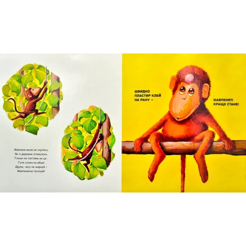 Product image preview