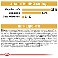 Сухий корм Royal Canin Chihuahua Adult (Роял Канін Чихуахуа) для дорослих собак 1.5 кг, фото 4