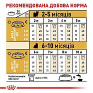 Royal Canin Dog Jack Russell Terrier (Роял Канін Джек Рассел Тер'єр) Adult для дорослих собак 1,5кг, фото 4