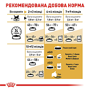 Royal Canin British Shorthair Kitten Корм для кошенят породи британська короткошерста 2кг, фото 4