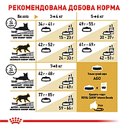 Royal Canin British Shorthair Сухий корм для котів породи британська короткошерста 4 кг, фото 3