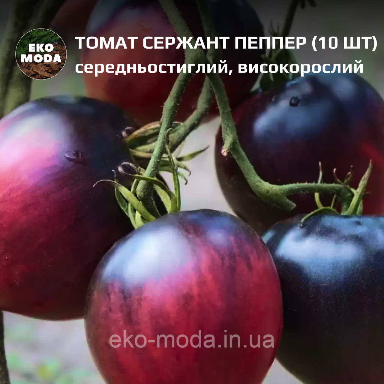 Томат Сержант Пеппер  -  середньостиглий, індетермінантний - (10 шт, zip-пакет)