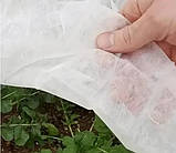 Спанбонд 17 г/м2 1,6 х 50 м "Shadow" — покривне агроволокно для рослин, огірків, полуниці, винограду, парнику, фото 8
