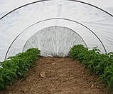 Спанбонд 17 г/м2 1,6 х 50 м "Shadow" — покривне агроволокно для рослин, огірків, полуниці, винограду, парнику, фото 9