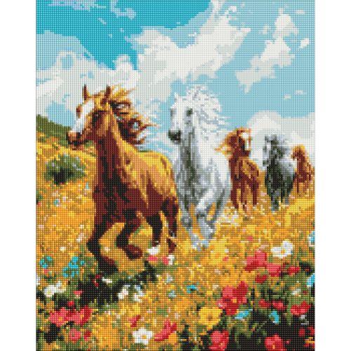 Алмазна мозаїка "Польова гармонія" 40х50 см [tsi257144-TSI], фото 1