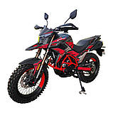 Мотоцикл SP300T-1 (Зібраний Безкоштовна доставка Новою Поштою), фото 4