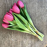 Штучний тюльпан гелеві, латекс пучок 32 см 5 гілок малиновий, фото 4