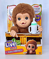 Інтерактивна фігурка Little Live Pets Маленьке мавпеня Moose Little Live Pets My Baby Monkey 26558