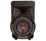 Акумуляторна акустична система XPRO SS-7373 колонка валіза 100Вт USB, SD, FM радіо, Bluetooth, мікрофон, ДК (SS-7373), фото 5