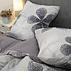 Постільна білизна Isleep Viluta ранфорс — 24269 двоспальна, фото 2