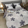 Постільна білизна Isleep Viluta ранфорс — 24269 двоспальна, фото 6
