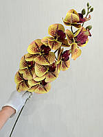 Штучна орхідея фаленопсис з латексу ( 1 метр ), фото 4