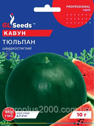 Насіння Кавун Тюльпан 10 грам GL Seeds, фото 1