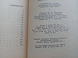 Савальєва Т.Н. Як жили єгипетські за часів будівництва пірамід. (б/у)., фото 7
