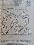 Савальєва Т.Н. Як жили єгипетські за часів будівництва пірамід. (б/у)., фото 5