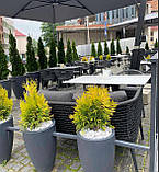 Бетонні вазони "Турін" кашпо для квітів, кущів та дерев, для вулиці, саду, дачі та тераси, фото 4