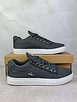 Кеди Lacoste сірі