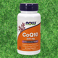 Коензим Q10 NOW CoQ10 200 mg 60 veg caps