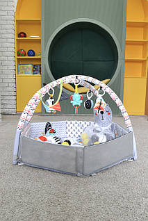 Розвиваючий килимок Limo Toy з дугами, підвісками, сухим басейном
