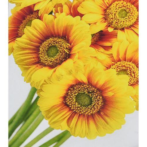 Алмазна мозаїка "Сонячні квіти" 30х40 см [tsi257610-TSI], фото 1