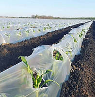 Пленка для Тоннелей на Дуги ПРОЗРАЧНАЯ для Мульчирования 150см / 500м 30мкм на 1год