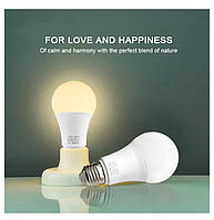 Лампа LED E27 220 В 9 Вт 2700 К, тепле світло "Korsar Light". Світлодіодна лампа Warm Light. Защита от мерцания